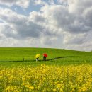 예찬농장 이미지