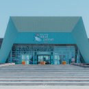 제주도 아쿠아플라넷 오션아레나 후기 역시 여름엔 물쇼가 정답