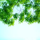 석남체육공원 이미지