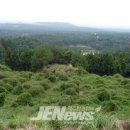 상예동-9 이미지