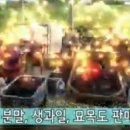 월드블루베리와 아로니아농장