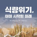씨제이제일제당(집단급식소) | CJ 제일제당, 포스코 인터내셔널, 하림, 롯데상사 4개 회사를 다합쳐 0.1% 못넘기는 세계 식량사업