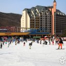 양지파인리조트 눈썰매장 티스토리