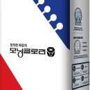 정직몰