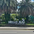 등대민박 | Jeju Island🏝️