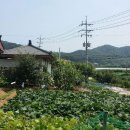 파주역공인중개사사무소 이미지