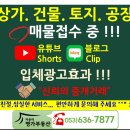보성은하상가 네이버블로그