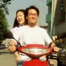 장미의거리1 이미지