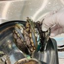 진도민박 | [전복손질/전복요리레시피] 진도 전복 산지직송 맛집 진도힘쎈전복 활전복 전복세트 대량구매 도매 추천...