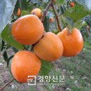 대봉축산 이미지