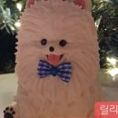릴리클라스 이미지