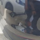 현대기아공업사 이미지