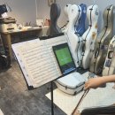 첼로(야간) 이미지