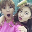 춘자의 완당 공자의 우동 이미지