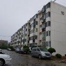 하대동186 이미지