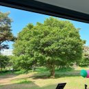 웨스턴안경원 | 일산 2024 고양국제꽃박람회 관람후기 꽃배 꽃밭 시설물 주변맛집