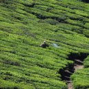 생생부동산중개사무소 이미지