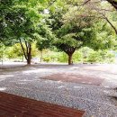 [충청북도 제천시] 엘림펜션오토캠핑장