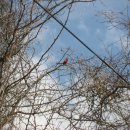 빨간 시골집 이미지