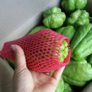 박정자농장 이미지