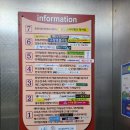 에벤에셀네일아트 | [안산네일]봄맞이 네일아트 에벤에셀네일