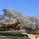 우람목장 이미지