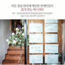 피부관리 - 군포시 | 피부관리