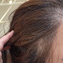 더찰스 | [천안신부동미용실- 찰스리헤어테크 천안신부터미널점] 딥애쉬그레이 염색 후기