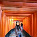 주식회사미즈코스 | [교토 여행] 여우 신사, 후시미 이나리 신사, 붉은 도리이, 일본 교토 여행, 교토 가볼만한 곳