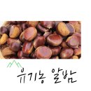 강화자연고을