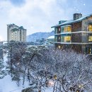 곤지암리조트 이미지