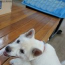 경천대모텔 이미지