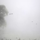 남하대야리 이미지