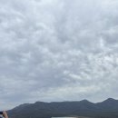 호주 타스매니아 여행 4일차