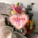 아틀리에피울