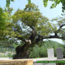 오동경로당 이미지