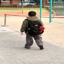 아이지에프업 후기 진짜 효과 봤어요 ;;;