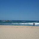 푸르른날 이미지