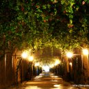 와인터널 이미지