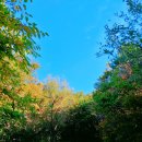 소백산 등산코스, 죽령에서 연화봉까지 단풍구경(왕초보 추천)