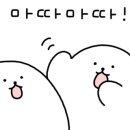 피크닉(샌드위치 앤 과일도시락) 이미지