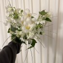 미니먼트 | [오르네먼트 플레르] 오르네먼트 플레르 촬영 부케 내돈내산 후기 및 비계약자 짝꿍 구해요!