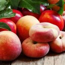 천도국밥 이미지