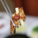 순천만 민물장어 이미지