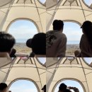 세븐일레븐 울산주전해변점 이미지