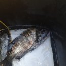 남해-318 이미지