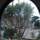 헤어바이예린 이미지