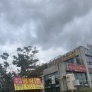 로얄식당 | 솔라고cc맛집, 로얄링스cc맛집 태안 명량식당 게국지 맛집 내돈내산 후기