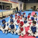 용인대 태비태권도장 이미지