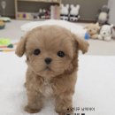 작고 소중해 이미지